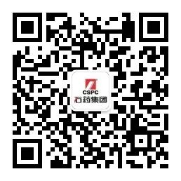 Classification Scale for Nine Basic Constitutions in Traditional Chinese Medicine