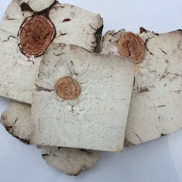 The Story of Fu Ling (Poria) in Traditional Chinese Medicine