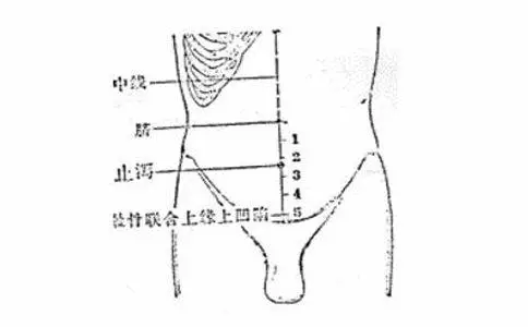 47 Unique Acupuncture Points Worth Seeing! (Collector's Edition)
