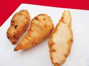 Shu Di Huang: A Beneficial Herb for the World, A Culinary and Medicinal Treasure