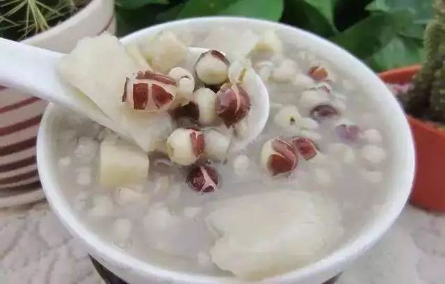 The Story of Fu Ling (Poria) in Traditional Chinese Medicine