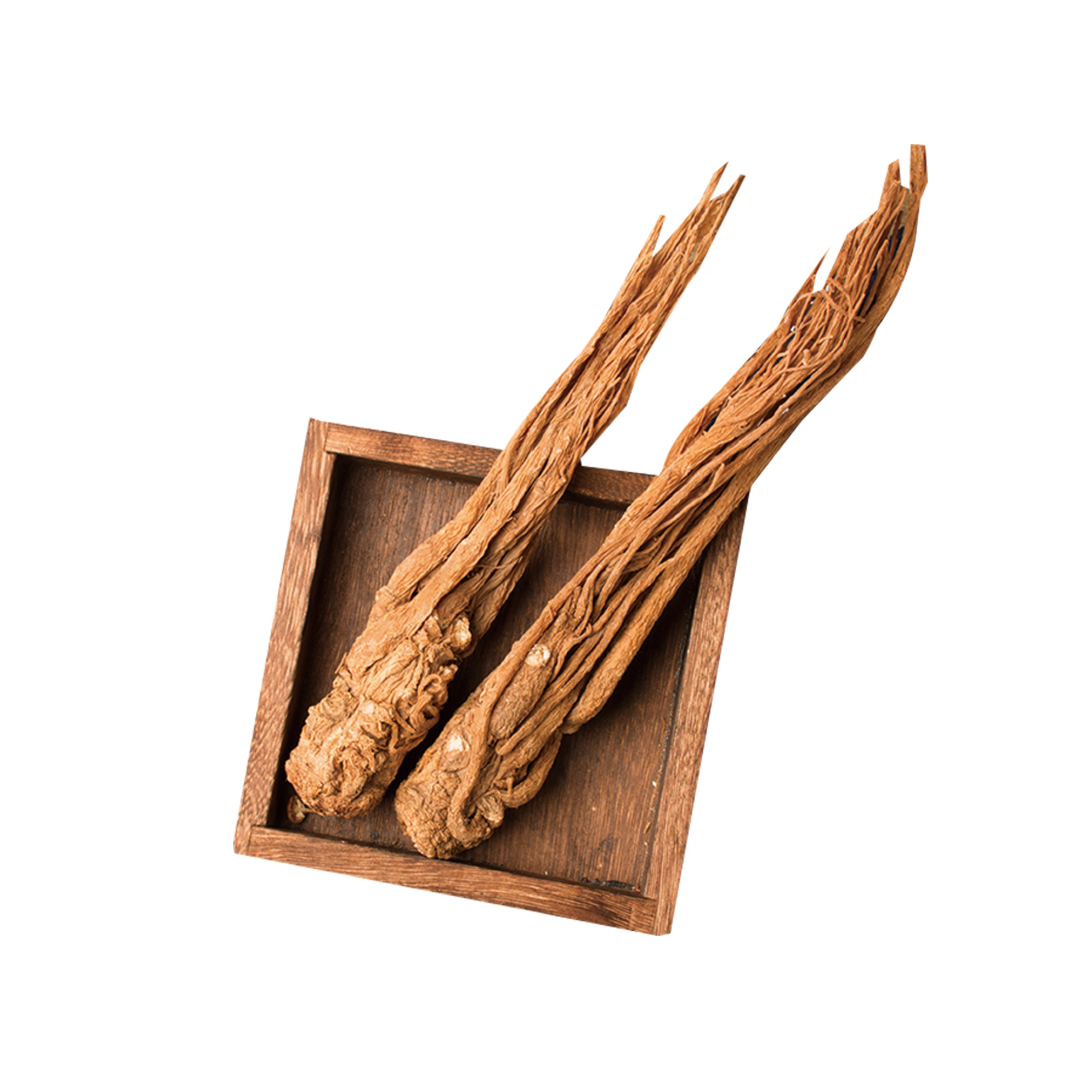 Nourishing the Body: The Different Effects of Danggui (Angelica Sinensis) for Blood Deficiency and Constipation