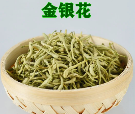 Daily Learning of Chinese Herbs - Honeysuckle