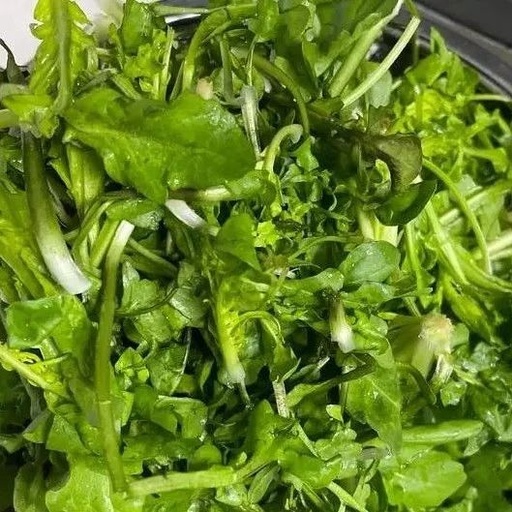 Don't Miss This 'King of Wild Vegetables' for Liver Damp-Heat in Early Spring