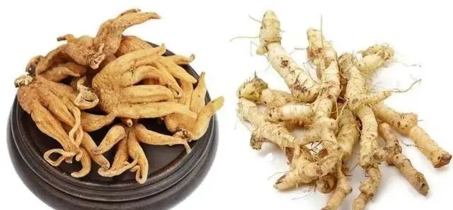 Understanding Kidney Yin and Yang Deficiency: Symptoms and 15 Commonly Used TCM Formulas