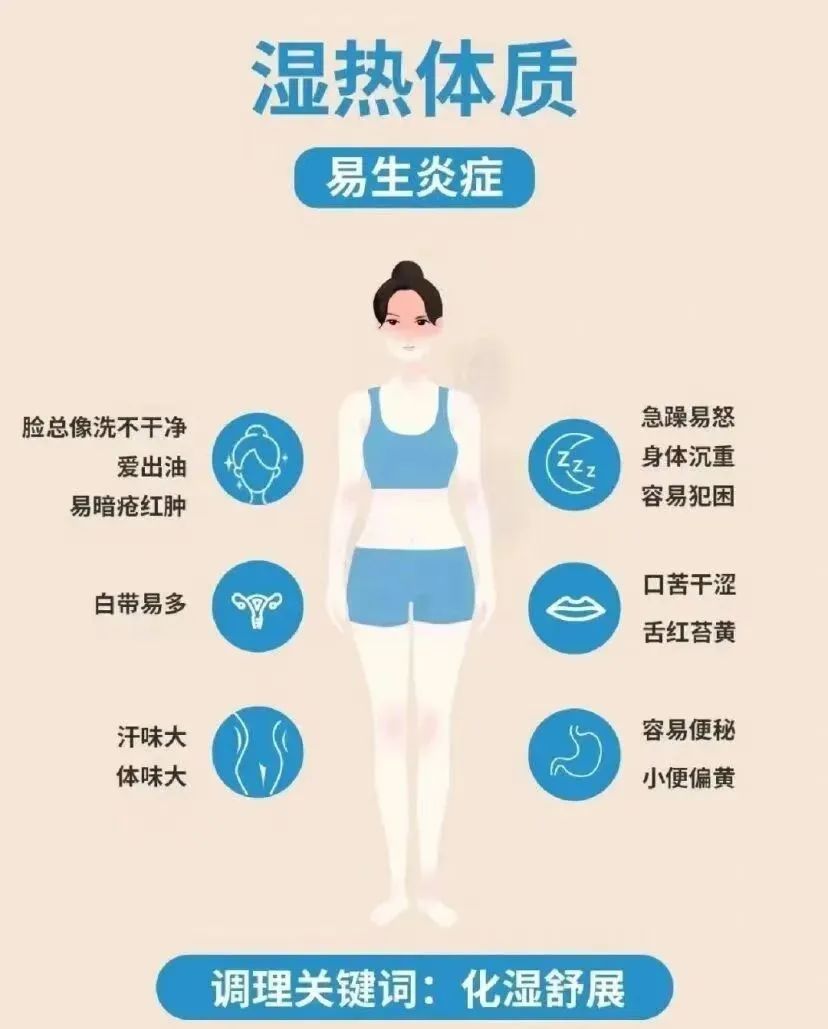 The Nine Major Types of Constitution Identification in Traditional Chinese Medicine