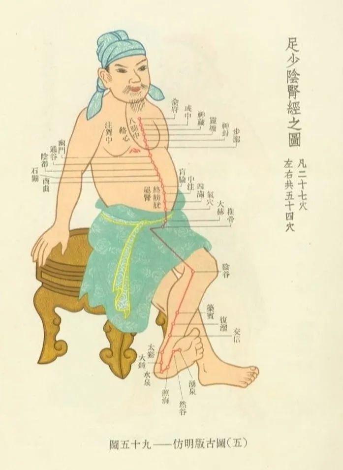 Meridians and Collaterals