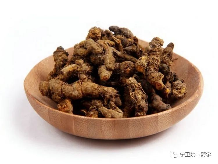 Daily Identification of Huang Lian (Coptis chinensis)