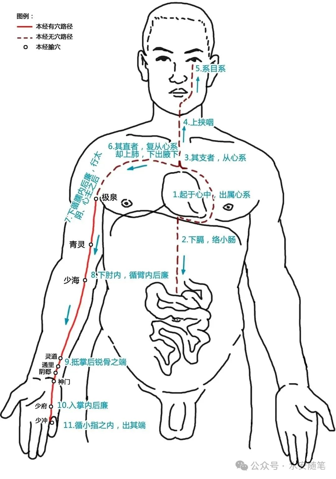 The Pathways of Meridians: A Traditional Chinese Medicine Guide