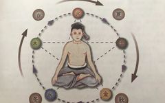 The Harmony of Yin and Yang in the Human Body and the Path of Cultivation
