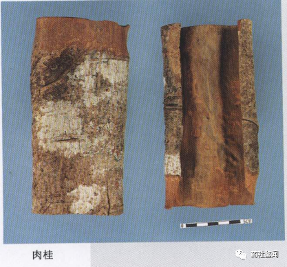Cinnamon Bark (Rougui) - A Comprehensive Overview