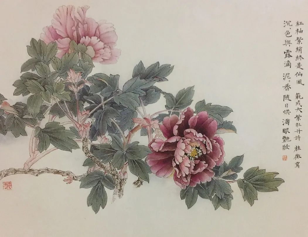 Understanding the Compendium of Materia Medica