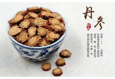 The Efficacy and Consumption Methods of Dan Shen (Salvia miltiorrhiza)