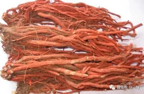 Blood-Invigorating and Stasis-Removing Herbs in Traditional Chinese Medicine