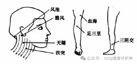 Why Should You Practice Gua Sha on the Neck and Shoulders? Can Regular Gua Sha on the Neck Combat Aging?