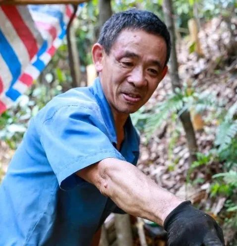 Harvesting Cinnamon: A Journey into the Heart of Traditional Cinnamon Farming