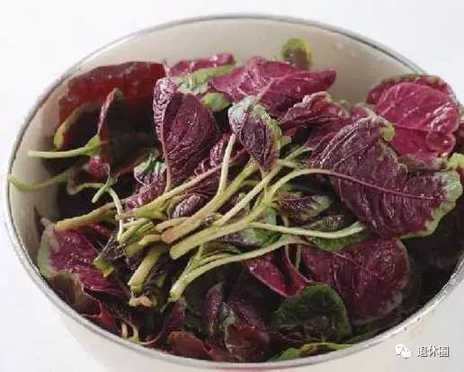 30 Dietary Therapy Recipes