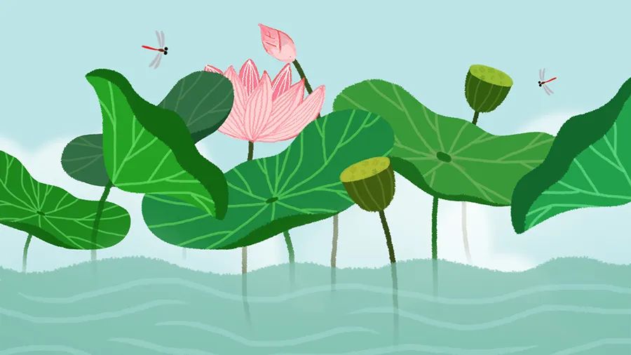 How Should People with Yin Deficiency Nourish Themselves in Summer?
