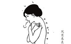Are You Suffering from Wind-Cold or Wind-Heat Cold? If You Can't Distinguish, Use This!