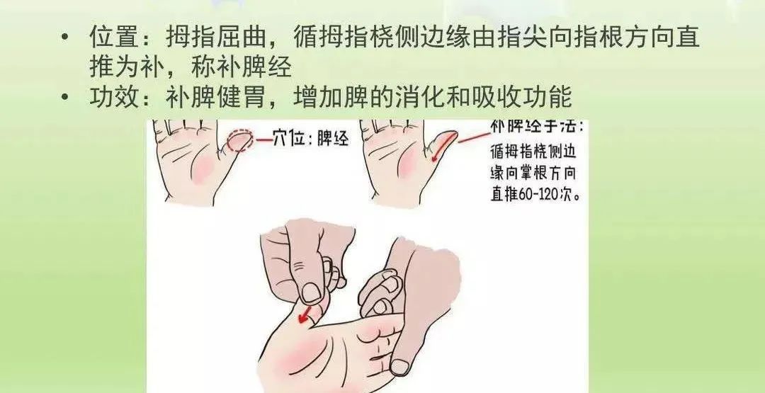 Understanding Spleen Deficiency in Children: Spleen Qi Deficiency, Spleen Yang Deficiency, and Spleen Yin Deficiency