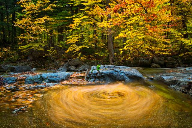 The Power of the Five Elements in Traditional Chinese Medicine