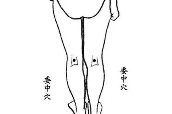 Comprehensive Guide to 35 Common Acupuncture Points: Locations and Effects with Detailed Diagrams