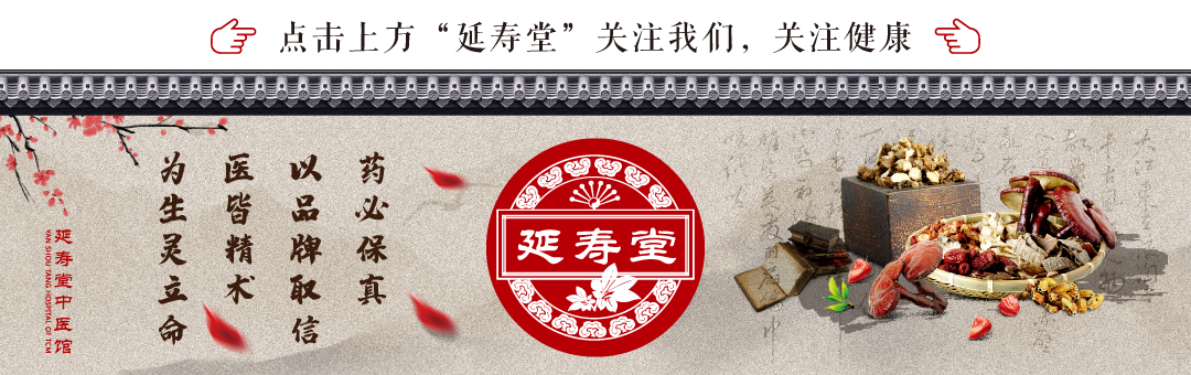 Understanding Danshen (Salvia miltiorrhiza) in Traditional Chinese Medicine