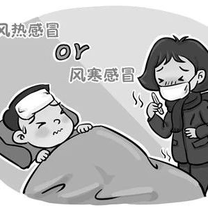 Distinguishing Between Wind-Heat and Wind-Cold Colds: Essential Knowledge for Prevention and Treatment