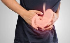 Traditional Chinese Medicine: Is Yin Deficiency Always Associated with Excess Heat? A Misconception!