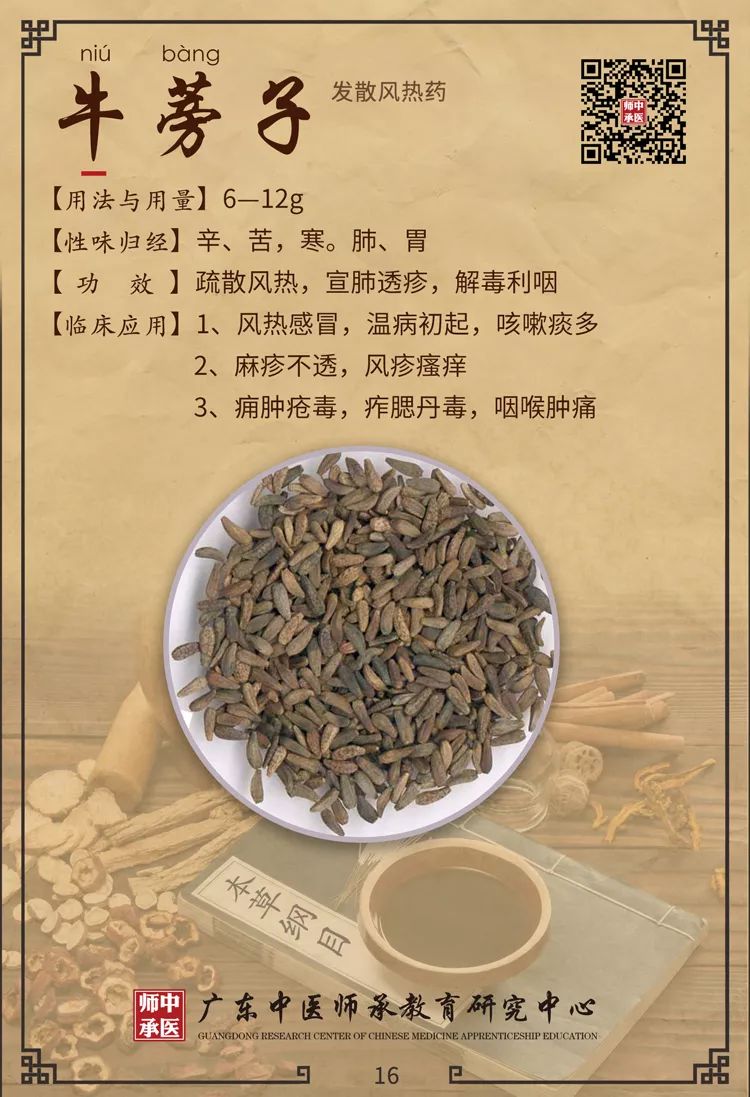 Traditional Chinese Medicine Insights: Differentiating Between Wind-Cold and Wind-Heat in Common Colds