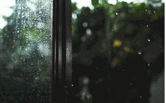 Understanding Damp-Heat and Cold-Damp in Traditional Chinese Medicine