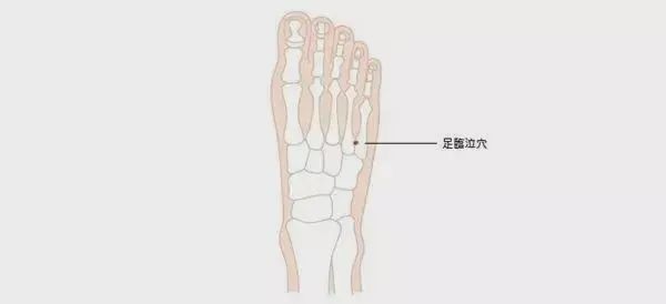 Acupuncture Techniques for Treating Neck, Shoulder, Waist, and Leg Pain: The Three Hand Points and Three Foot Points!