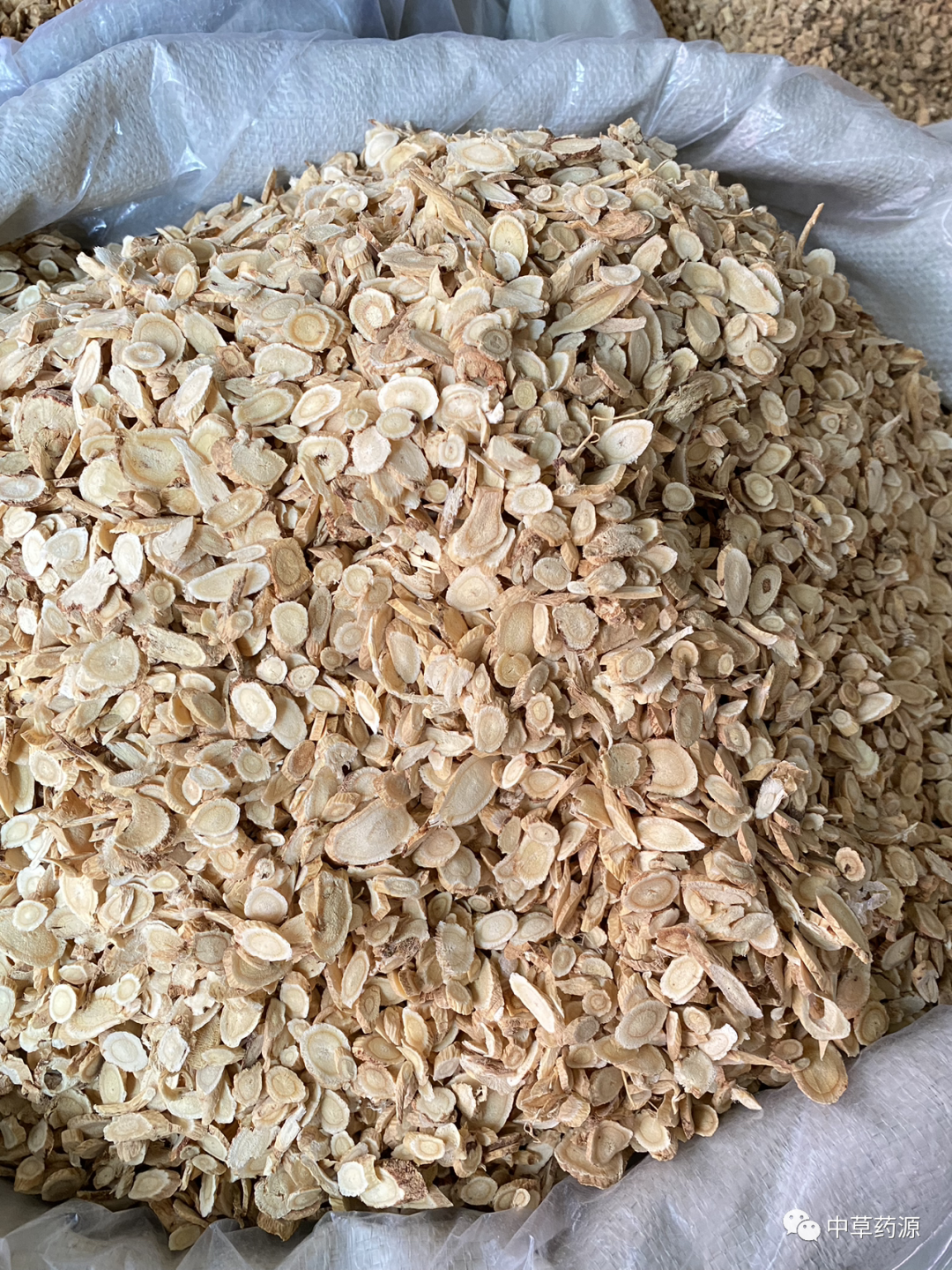 Appreciation of Traditional Chinese Medicine: Huangqi (Astragalus Root)