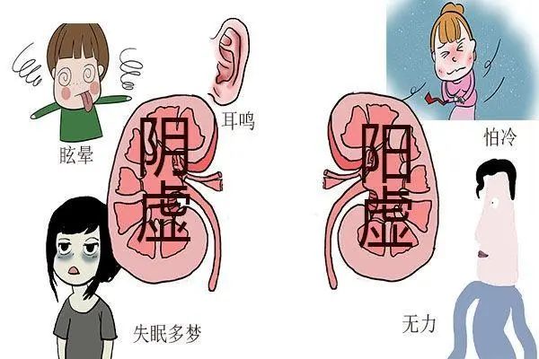 Eliminating 'Yin Toxins' to Restore Yang Qi: Are You Cleansing the Eight Major 'Yin Toxins' in Your Body?