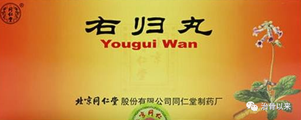 What to Eat for Kidney Yang Deficiency? 6 Traditional Chinese Medicines for Spleen and Kidney Yang Deficiency