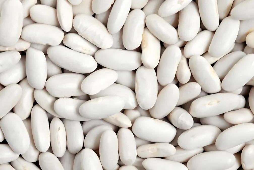 Nourishing with Grains: The Importance of Beans in Spring