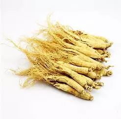 Ginseng (Panax ginseng)