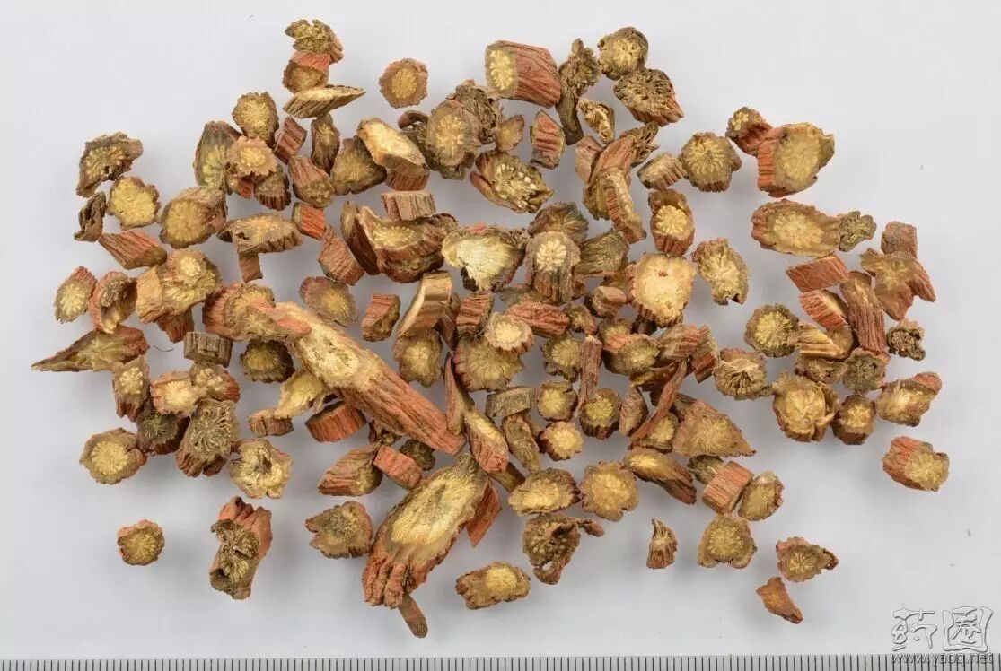 Learn About Danshen: A Key Chinese Herb