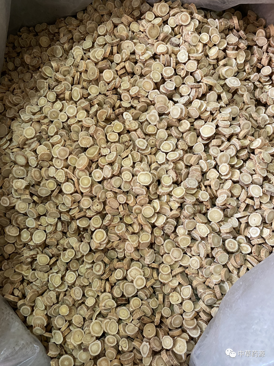 Appreciation of Traditional Chinese Medicine: Huangqi (Astragalus Root)