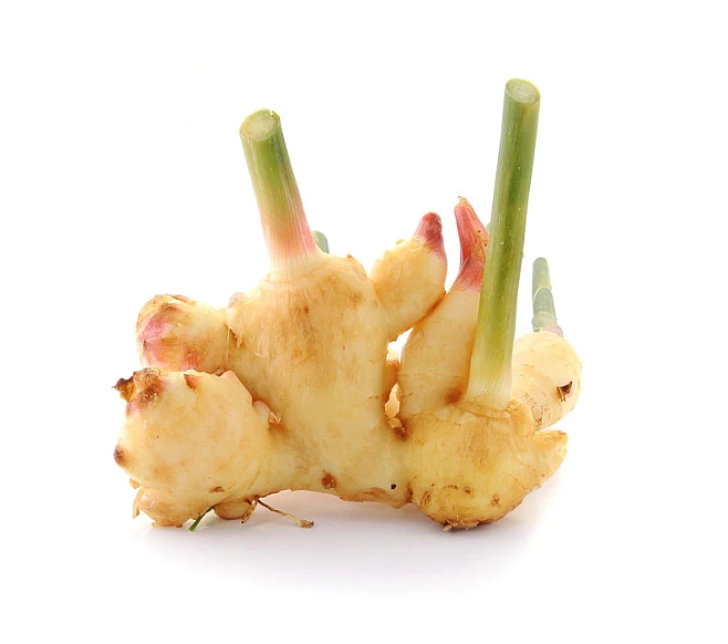 Understanding Ginger: The Distinct Functions of Fresh Ginger and Dried Ginger