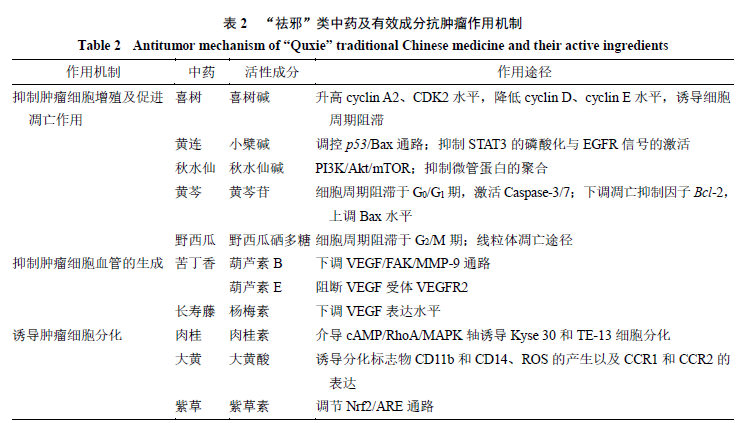 Research Progress on the Mechanism of Antitumor Effects of Traditional Chinese Medicine Based on the Principle of "Supporting the Right and Expelling the Evil"