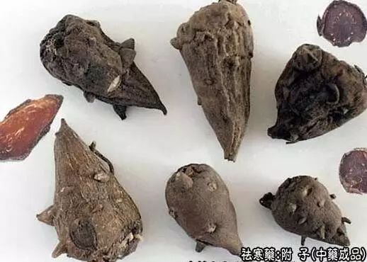 The Efficacy and Functions of Fu Zi: Reviving Yang, Supporting Fire, and Dispelling Cold