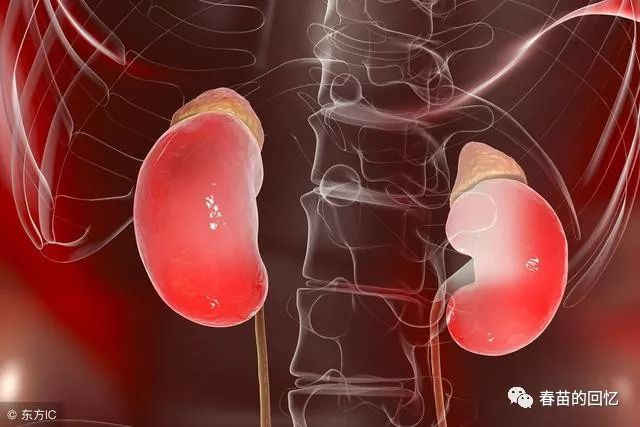 TCM Deficiency Syndromes: Yin Deficiency and Clinical Manifestations