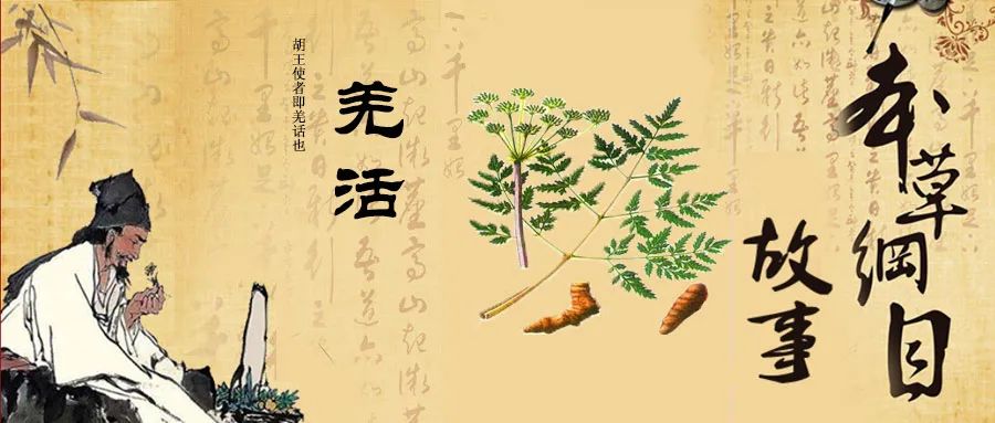 The Story of Bencao Gangmu: Using Qiang Huo to Expel Wind and Disperse Cold