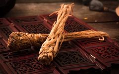 The Dual Role of Food and Medicine: A Comprehensive Overview of Angelica Sinensis