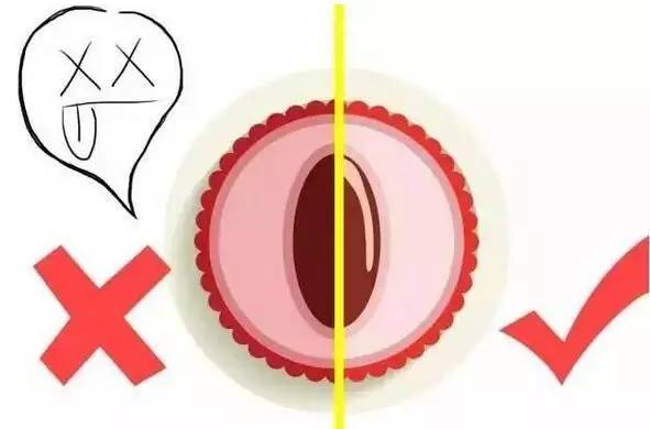 Understanding the Cold and Hot Properties of Fruits: A Comprehensive Guide