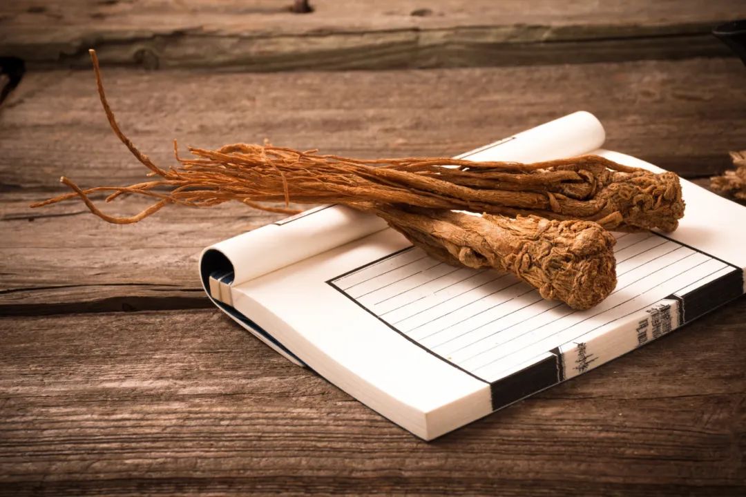 The Sacred Blood-Boosting Herb: Angelica Sinensis (Dang Gui)