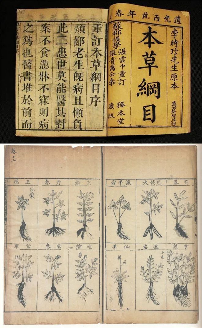 Exploring Traditional Culture | Issue 19: The Historical Transmission of Materia Medica Literature (Part 3)