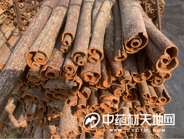 The Continued Ordinary Path of Cinnamon