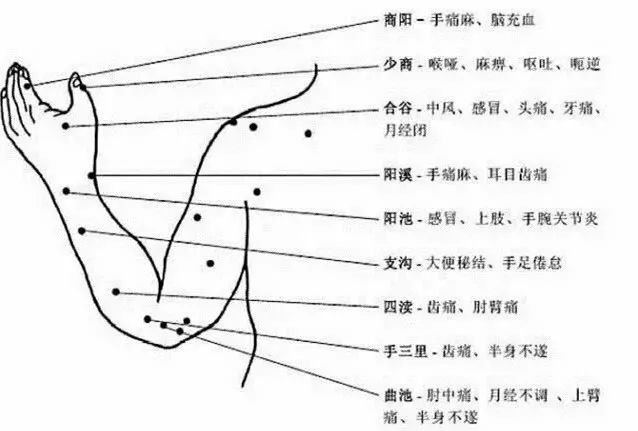 The Most Comprehensive Atlas of Acupuncture Points and Their Effects!